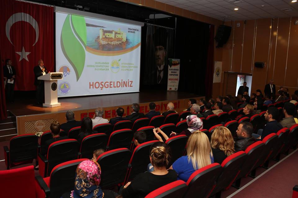 erdemli-