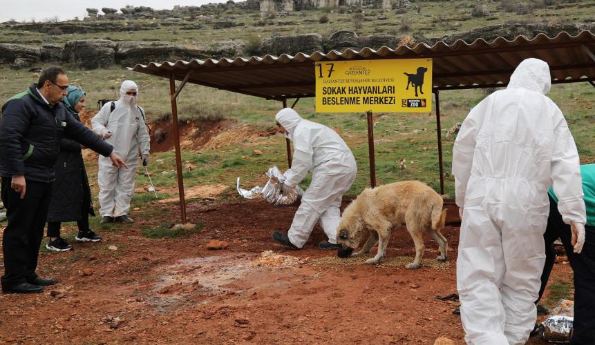 Küresel Salgına Karşı Hayvan Besleme Noktaları dezenfekte edildi