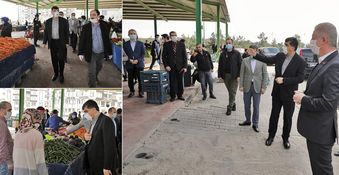 mini_fadıloglu-gül