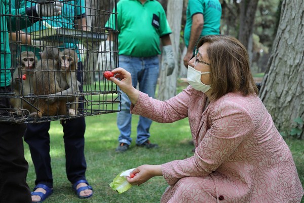 Gaziantep Hayvanat Bahçesi Yeni Üyelerine Kavuştu