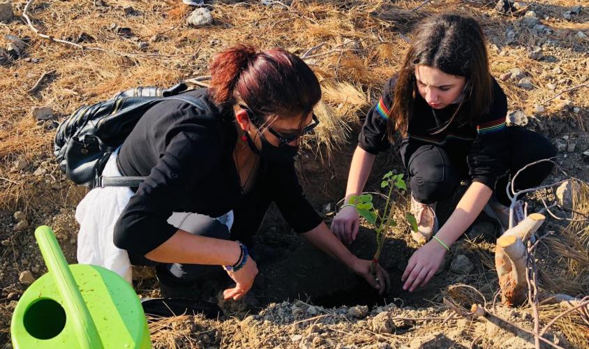 Gaziantepli Öğretmenler, Belen'de Yanan Ormanlara Fidan Dikti