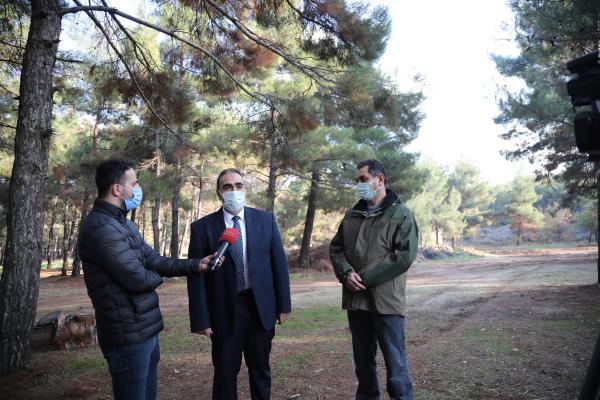 Gaziantep Hayvanat Bahçesi'nde Tedavisi Tamamlanan Kuşlar Doğaya BırakıldıDI