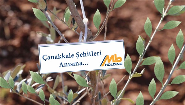 MB HOLDİNG’ten Çanakkale Şehitlerine Vefa Fidan