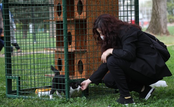 Büyükşehir, Hayri Tütüncüler Parkı'na Yeni Kedi Evleri Kurdu