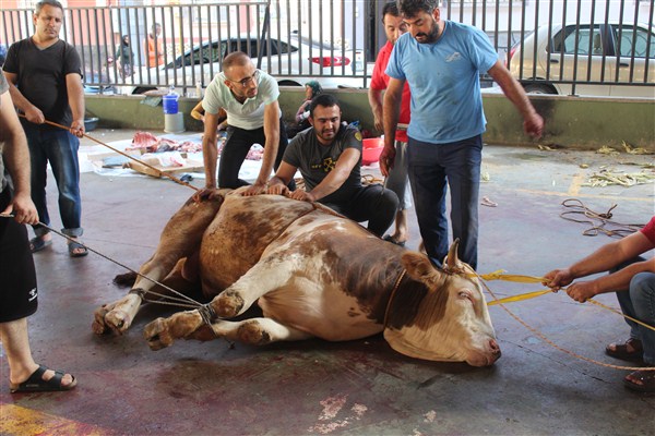 Gaziantep’te Kurbanlar Kesilmeye Başlandı