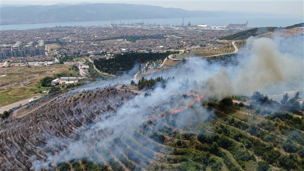 Kocaeli’de Orman Yangını