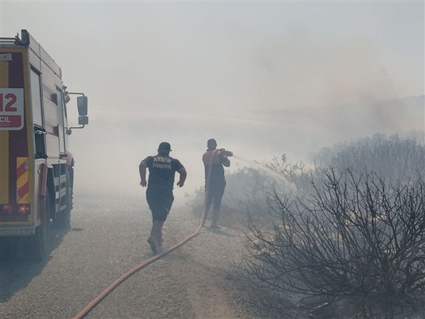 Didim'de Makilik ve Zeytinlik Alanda Yangın Çıktı
