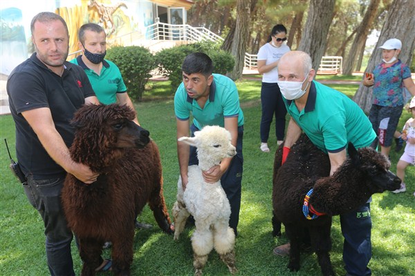 Gaziantep Hayvanat Bahçesi Yeni Misafirlerini Ağırlamaya Başladı
