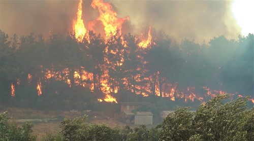 Manavgat'taki orman yangını çok yönlü araştırılıyor