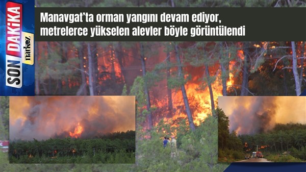 Manavgat’ta orman yangını devam ediyor
