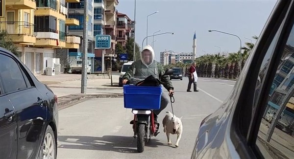 Köpeği motora bağlayıp sürükledi