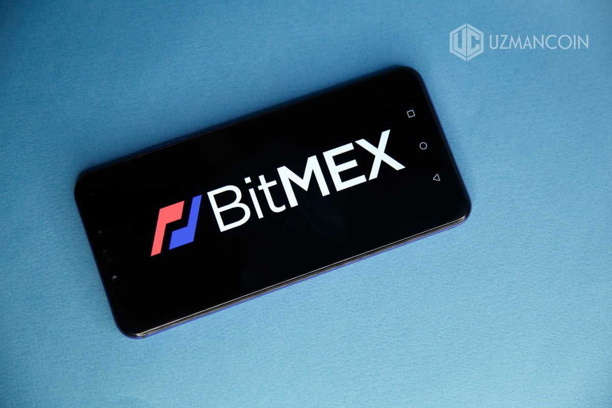 BitMEX, kripto para yatırımcı içgörü raporunu yayınladı!
