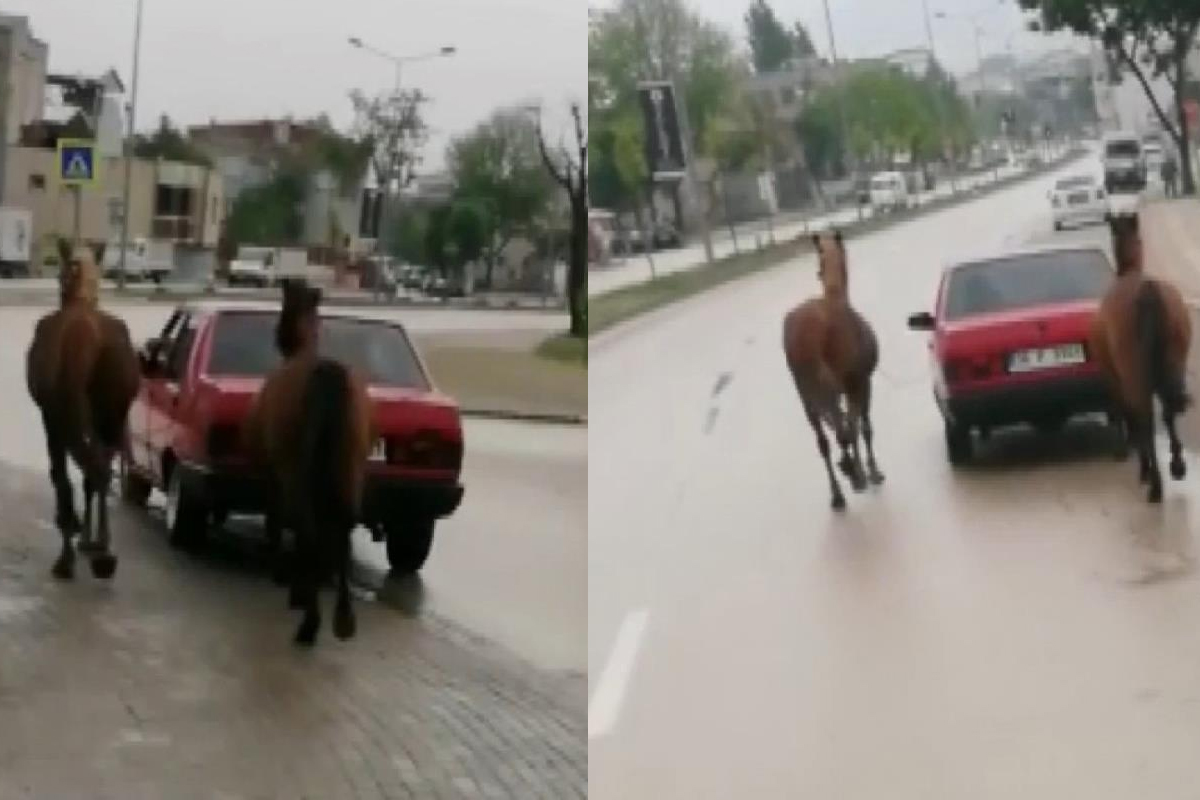 Bursa'da tepki çeken görüntü