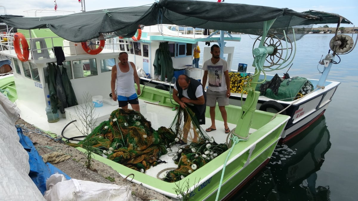 Balıkçıların umudu palamut: 'Palamut şimdiden yarım kilograma ulaştı'