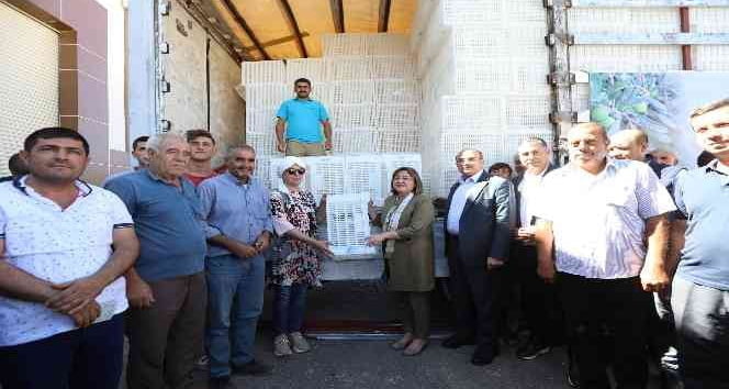 gaziantep-te-zeytin-ureticilerine-40-bin-hasat-kasasi-dagitilacak