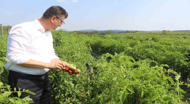 Dolu meyve ve sebzeleri bu hale getirdi
