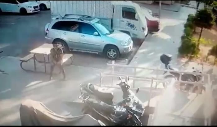 Hırsızlar gözüne kestirdiği motosikleti böyle çaldı