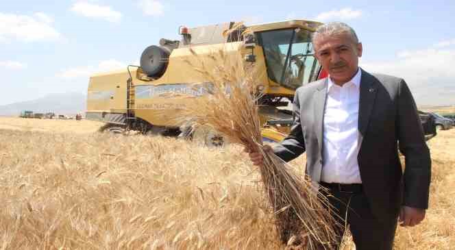 Karaman ’da buğday ve arpada rekolte arttı
