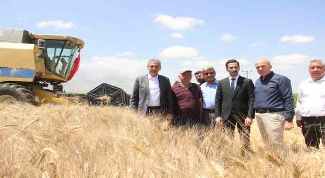 Karaman ’da buğday ve arpada rekolte arttı