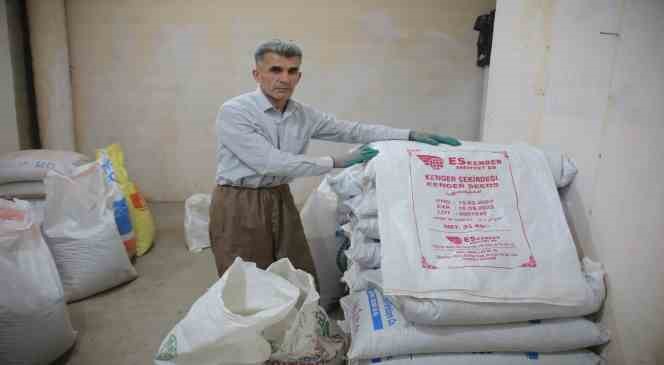 Kenger bitkisinden kentin ekonomisine 2 milyon dolar katkı Kenger bitkisinden kentin ekonomisine 2 milyon dolar katkı