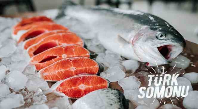 Türkiye ’nin 6 aylık su ürünleri ihracatı 829 milyon dolara ulaştı
