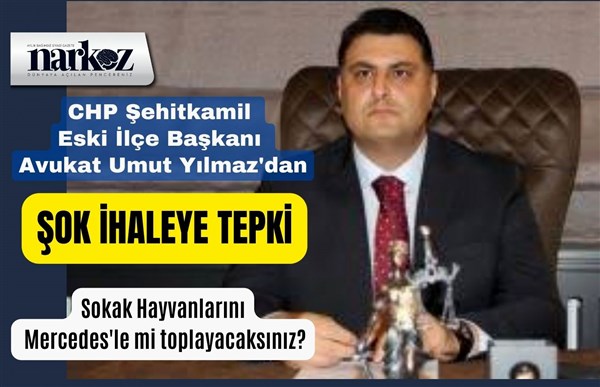 Av. Umut Yılmaz: "Sokak Hayvanlarını Mercedes'le mi toplayacaksınız?"