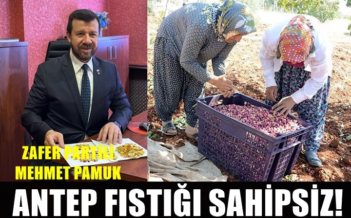 Mehmet Pamuk: "Fıstık üreticileri sahipsiz"