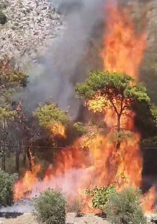 Muğla'da Orman Yangınının Çıkış Anı Kamerada