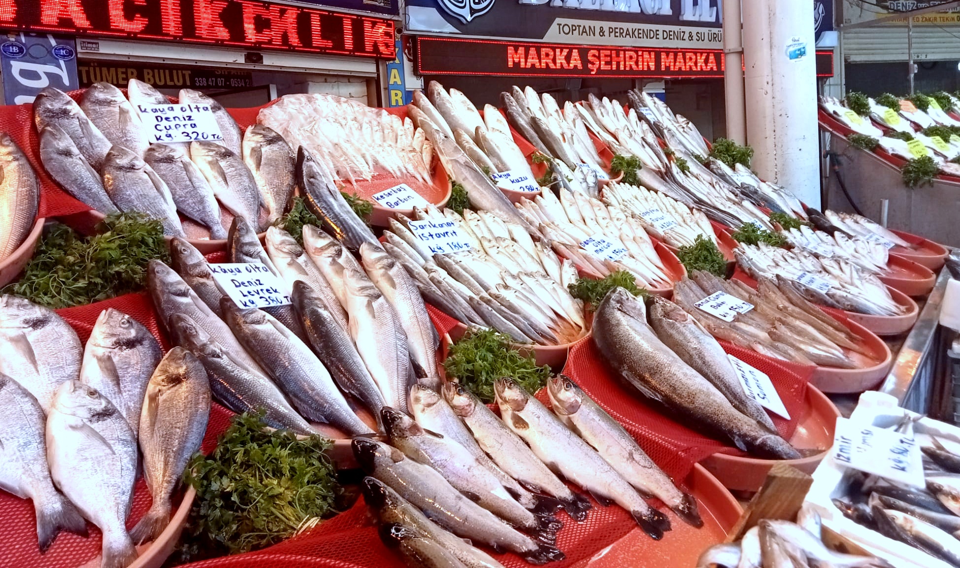 Et fiyatları artınca, Gaziantepliler balığa yöneldi