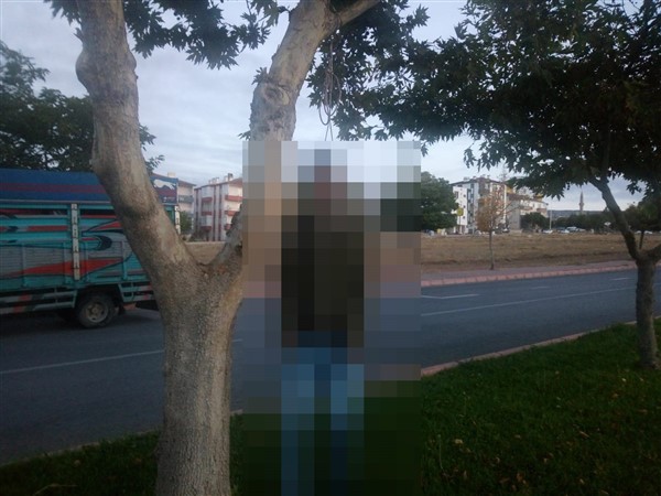 Sosyal medya profiline "karanlıktayım anne" yazan şahıs ağaçta asılı bulundu