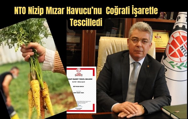NTO Nizip Mızar Havucu’nu Coğrafi İşaretle Tescilledi