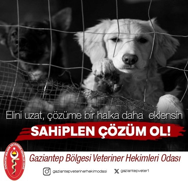 Başkan Meltem Peri’den önemli çağrı! ‘’Sahiplen çözüm ol" Başkan Meltem Peri’den önemli çağrı! ‘’Sahiplen çözüm ol"