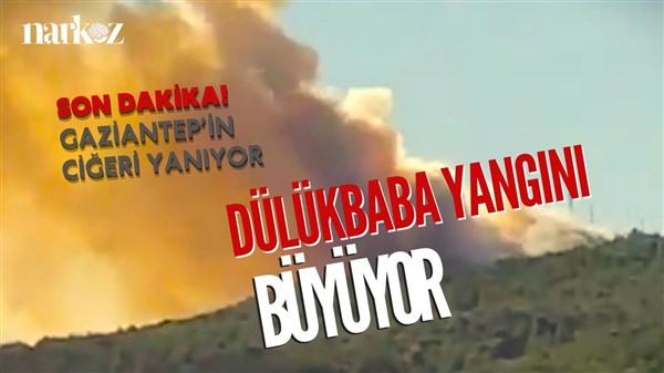 Gaziantep Dülükbaba ormanı korkutuyor!