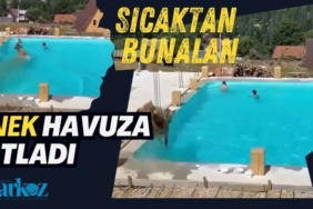 Sıcaklardan bunalan inek havuza atladı