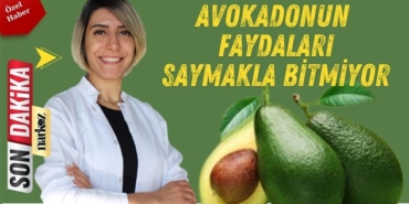 Avokadonun faydaları