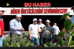 İslahiye ve Nurdağlı Biber Çiftçimize Müjde!
