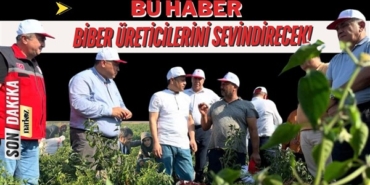 İslahiye ve Nurdağlı Biber Çiftçimize Müjde!