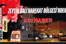 Zeytin Dalı Harekat Bölgesi'nden acı haber