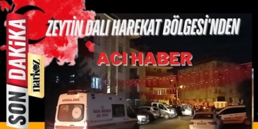 Zeytin Dalı Harekat Bölgesi'nden acı haber