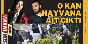 O Kan İnsana Ait Çıkmadı
