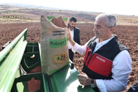 Başkan Tahmazoğlu dağıttığı tohumları çiftçilerle ekti