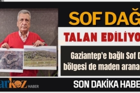 Hasan Öztürkmen: Gaziantep'in akciğerleri yok oluyor