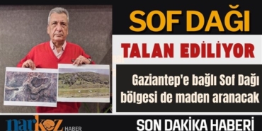 Hasan Öztürkmen: Gaziantep'in akciğerleri yok oluyor
