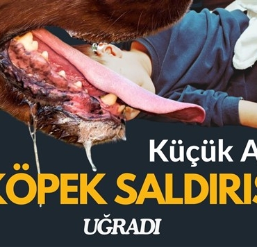 gaziantep haberler, son dakika, narkoz haber