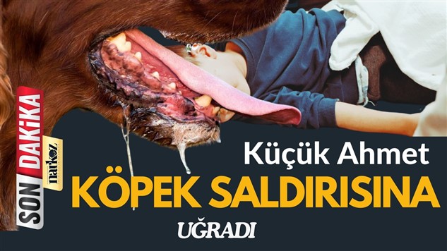 gaziantep haberler, son dakika, narkoz haber