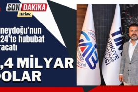 Güneydoğu’nun 2024’te hububat ihracatı 3,4 milyar dolar