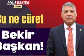 Bu ne cüret Bekir Başkan!