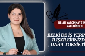 BELKİ DE İŞ YERİNİZ İLİŞKİLERİNİZDEN DAHA TOKSİKTİR !