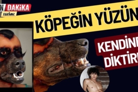 Köpeğin yüzünü kendine diktirdi, olanlar oldu! Gerçek bambaşka çıktı!