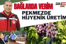Bağlarda Verim, Pekmezde Hijyenik Üretim…